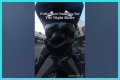 Night Rider Arrested, What Happened To Night Rider?